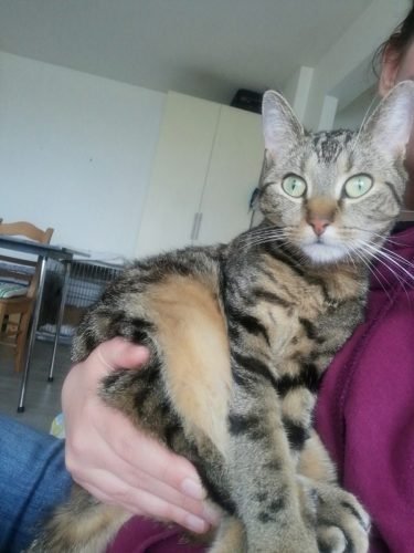 IMG 20210409 150104 optimized