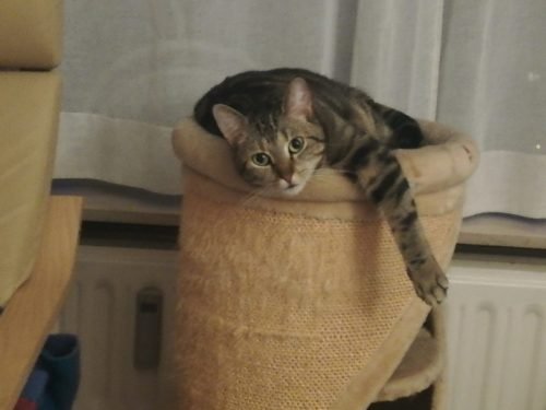 IMG 20210607 224848 optimized