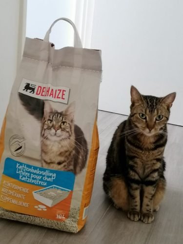 IMG 20210909 142055 optimized