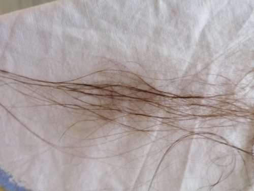 IMG 20211005 133146 optimized