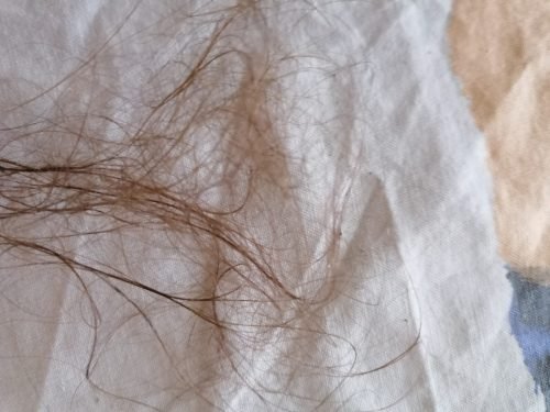 IMG 20211005 133152 optimized