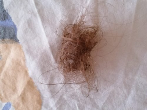 IMG 20211005 133233 optimized