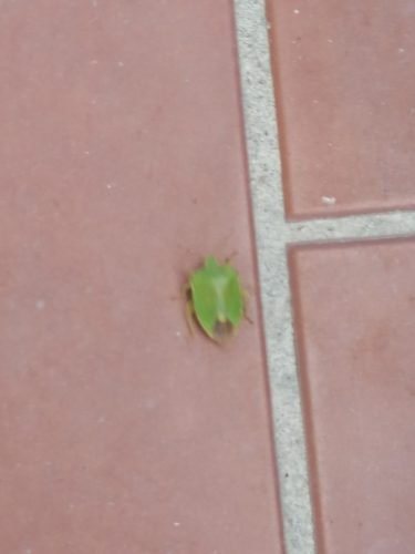 IMG 20211015 145559 optimized